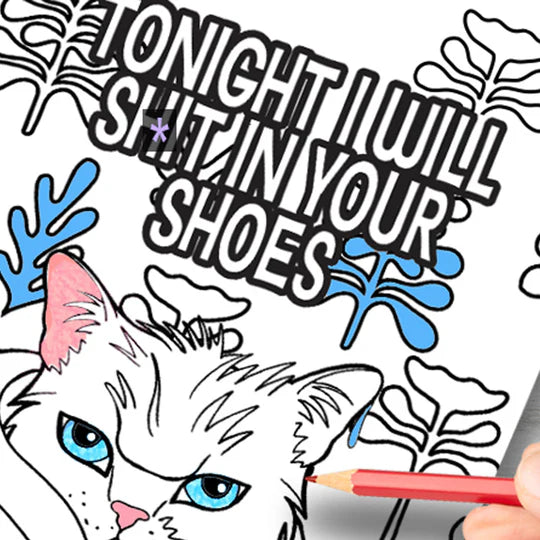 🔥Hot Sale🔥Funny Kitty Memes Coloring Book For Adult Relaxation